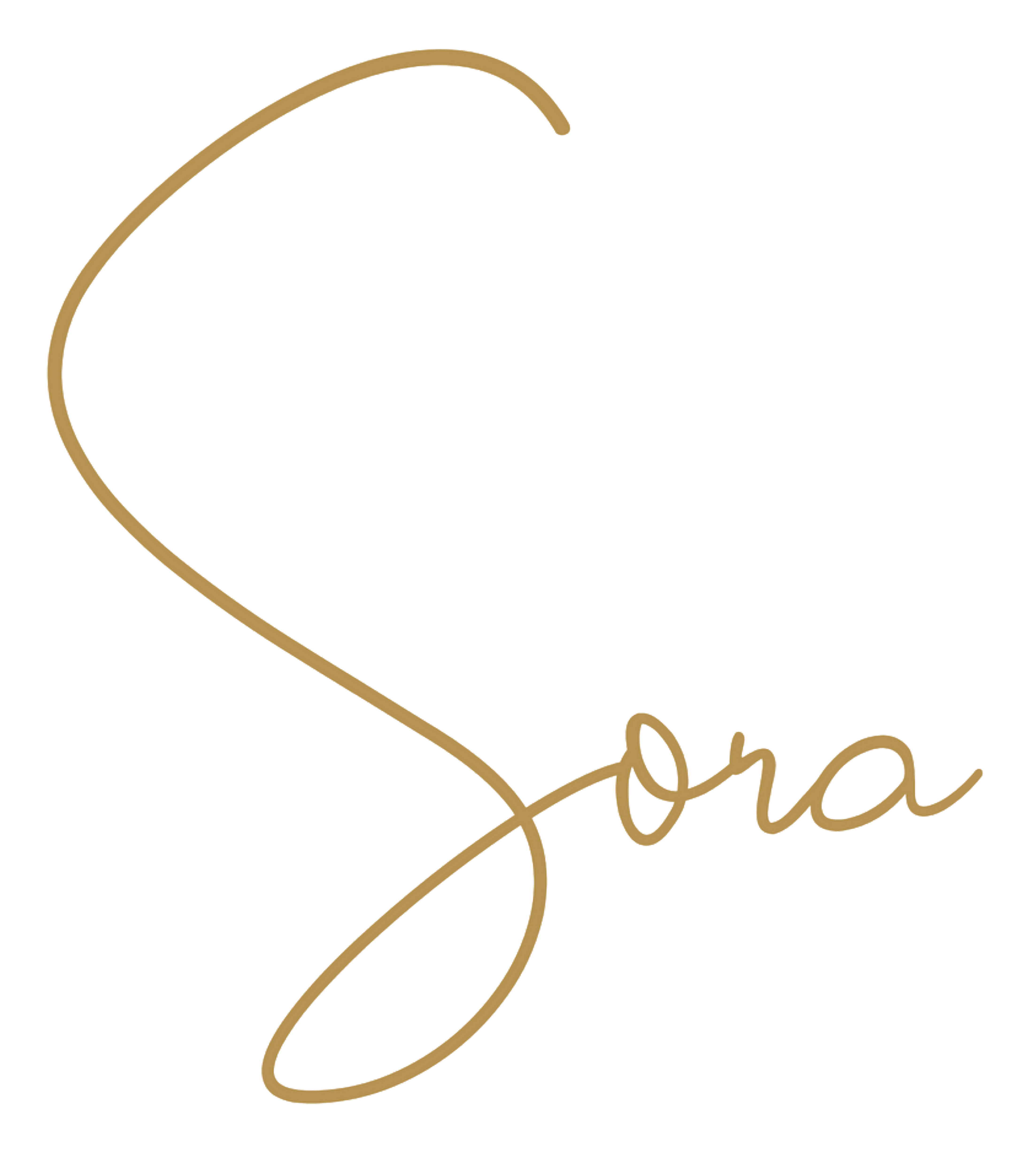 Sora Tea & Coffee Logo